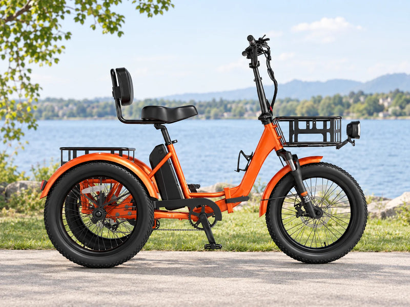Electric Trikes