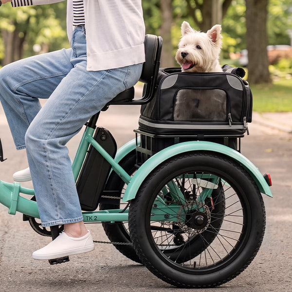 TK2 Folding Electric Trike