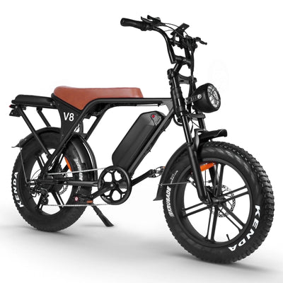 Electric Mountain Bike Designed for Commuting, 48V 15Ah Battery, 20 Inch Fat Tires, 1000W Motor