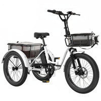 20" Fat Tire Electric Trike 750W 48V Motorized Folding Commute E-Bike for Adult, Foldable 3 Wheel Electric Bicycle Trike for Senior Women with Front & Rear Basket