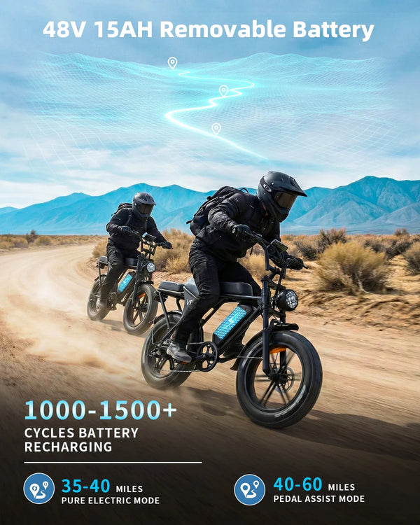 Electric Mountain Bike Designed for Commuting, 48V 15Ah Battery, 20 Inch Fat Tires, 1000W Motor