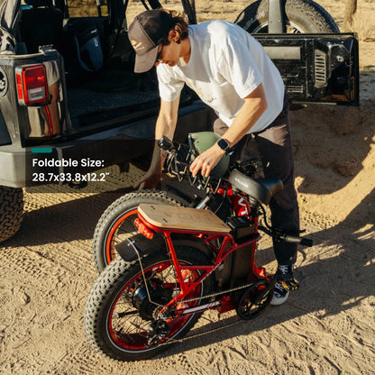 VTUVIA SF20H Utility Ebike