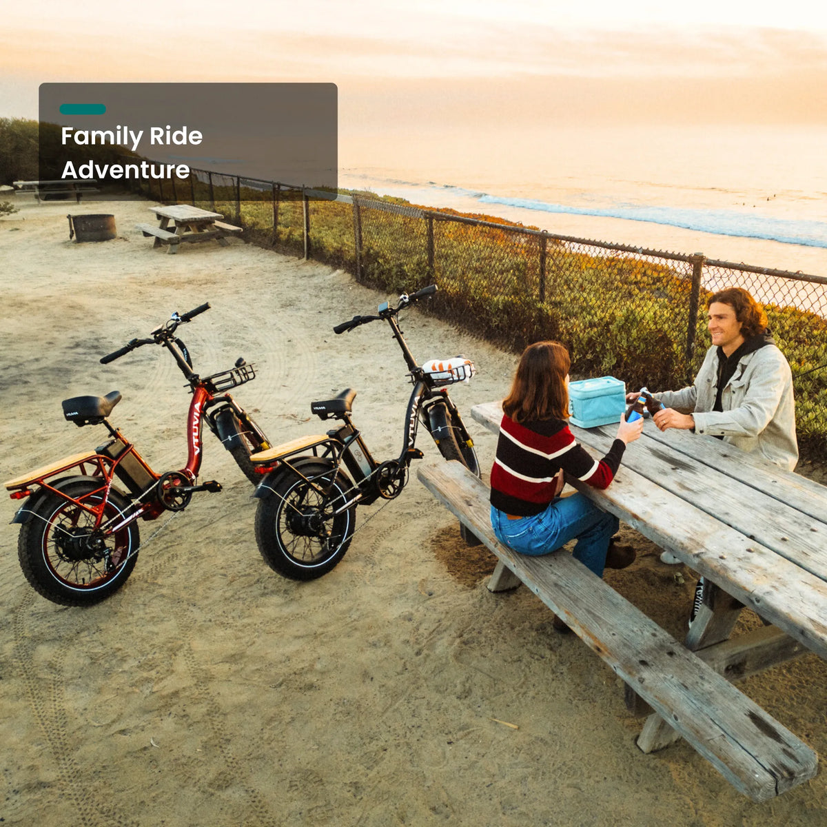 VTUVIA SF20H Utility Ebike