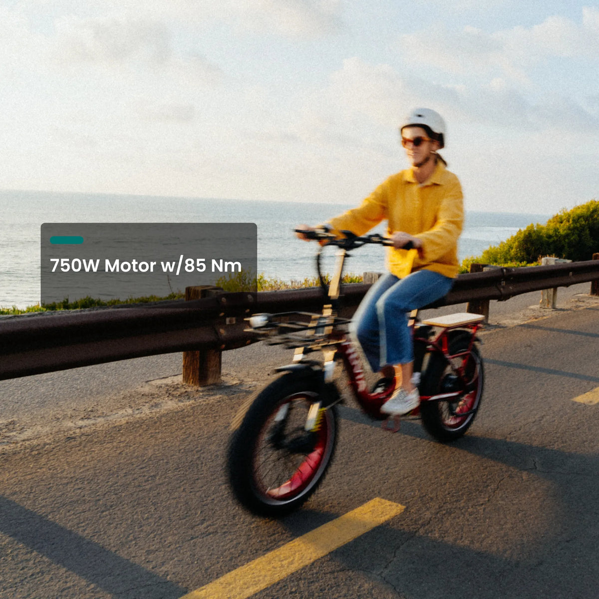 VTUVIA SF20H Utility Ebike